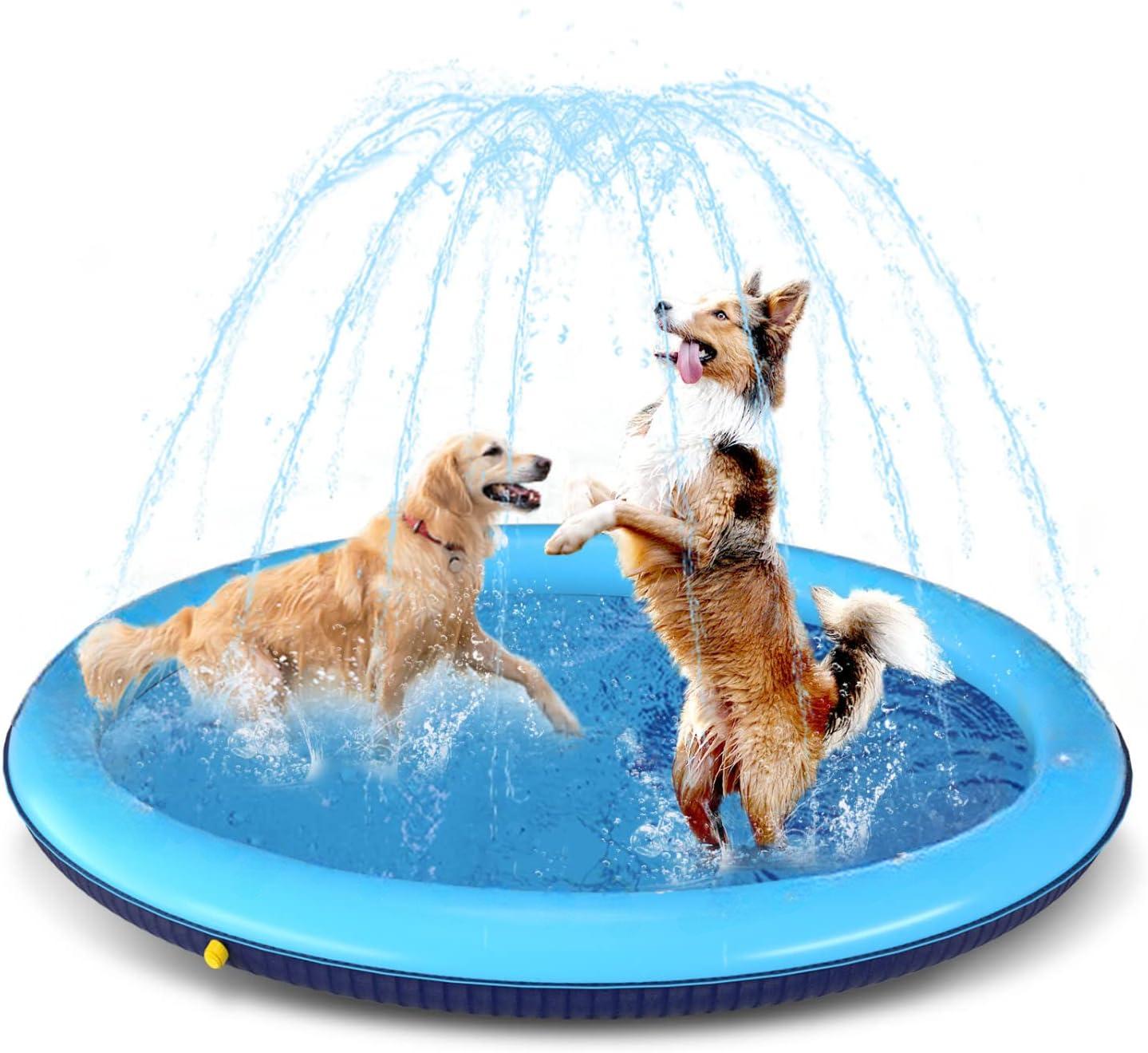 Piscina con chorros para perros