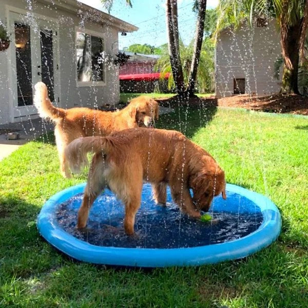 Piscina con chorros para perros