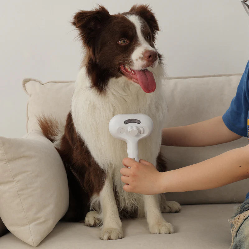 Cepillo de Vapor Pelusín®