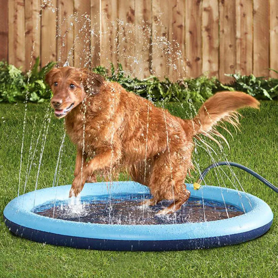 Piscina con chorros para perros