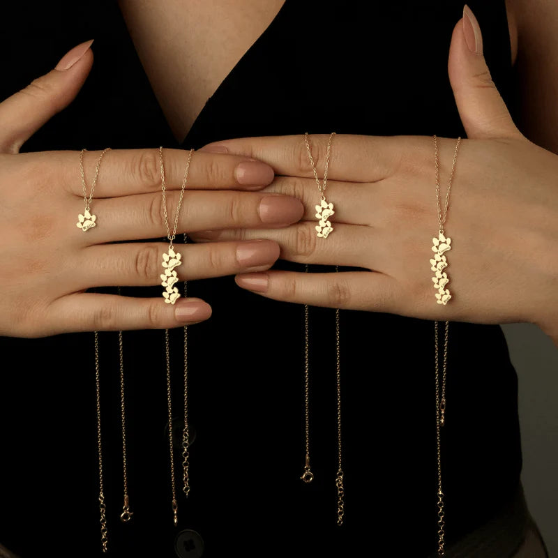 Pulsera/Collar Huellita Personalizable