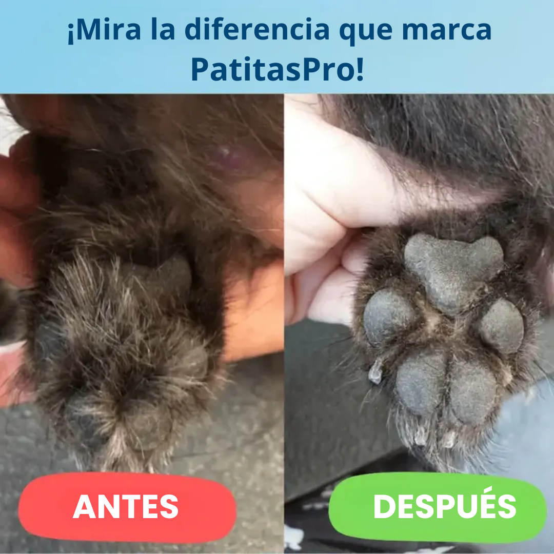PatitasPro® – Cuidado indoloro de las patas en segundos