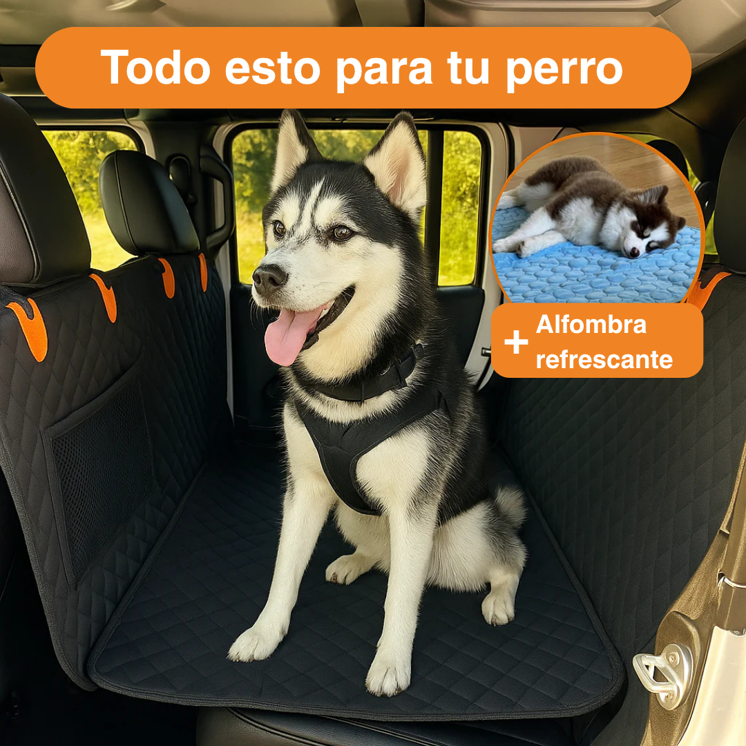 Funda de asiento para perro
